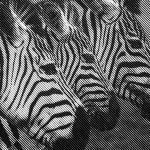 Comment une agence social selling transforme vos réseaux sociaux en machine à prospects