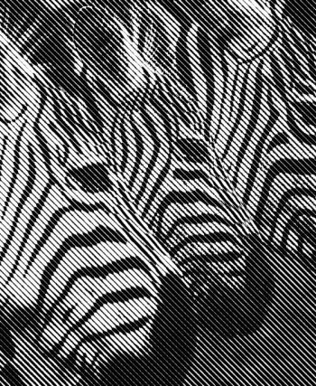 Les 5 erreurs à éviter lorsqu’on collabore avec une agence stratégie de marque